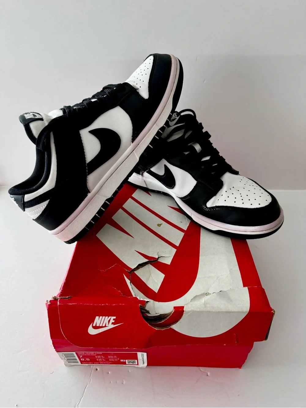 Nike Dunk Low 